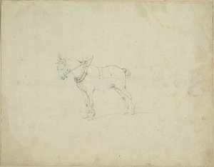 Caballo de tiro de Jean Louis André Théodore Géricault