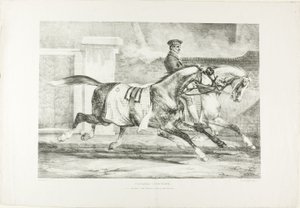 Caballos ejercitándose, lámina 6 de Varios temas dibujados del natural sobre piedra de Jean Louis André Théodore Géricault