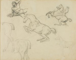 Bocetos: Desnudo recostado, un jinete y varios caballos