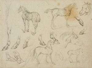 Bocetos de un caballo de Jean Louis André Théodore Géricault
