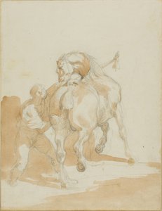 Mozo de cuadra cuidando un caballo de Jean Louis André Théodore Géricault