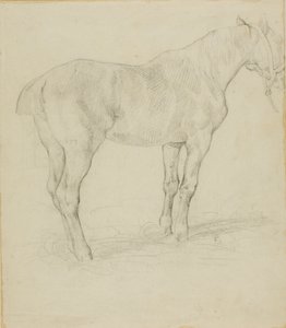 Caballo de pie de Jean Louis André Théodore Géricault
