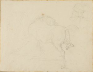 Estudio de un caballo que gira la cabeza y levanta la pata trasera de Jean Louis André Théodore Géricault