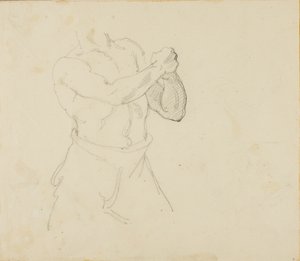 Torso de boxeador