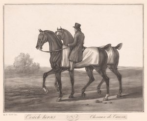 Jinete acompaña a dos caballos Chevaux de Carosse (título sobre objeto) de Jean Louis Darcis (attributed to)