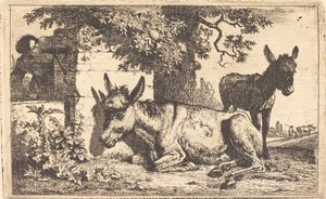 Un Burro junto a un Pozo de Agua