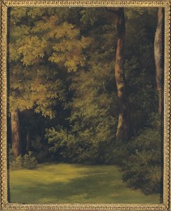 Un claro en el bosque, 1840 de Jean Michel Cels