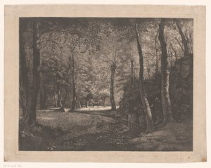 Pastora en el bosque de Rochecardon