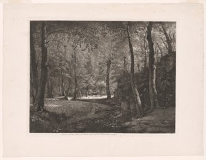 El bosque de Rochecardon