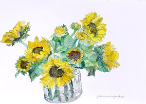 Girasoles, 2007 (acuarela y tinta sobre papel)