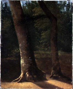 Estudio de árboles, c.1815 de Jean Victor (attr. to) Bertin