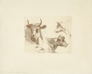 Tres cabezas de vaca de Jean Zacherie Mazel