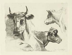 Tres cabezas de vaca de Jean Zacherie Mazel