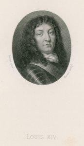 Rey Luis XIV