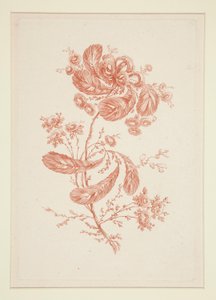 Sin título (Flores ideales), de un conjunto de seis de Jeanne Deny