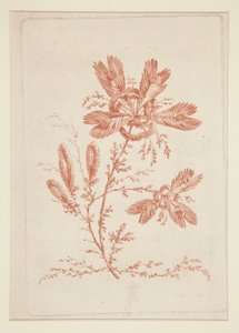 Sin título (Flores ideales), de un conjunto de seis