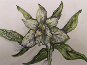 Orquídea verde de Jeannette Stein