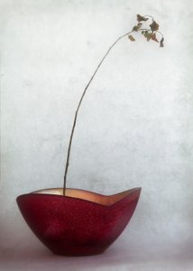  de Jeffrey Hummel