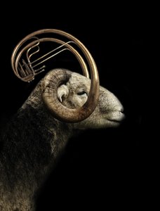 Perfil de Ram en el ámbito musical