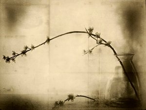  de Jeffrey Hummel