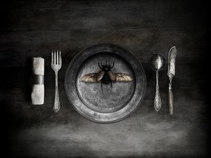 Una inquietante comida a base de escarabajos