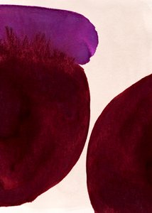 Tintes morados ecológicos de Jenja Braun