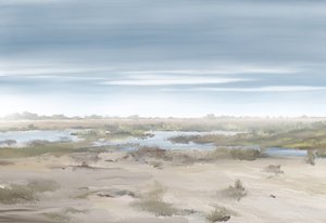 Paisaje de un humedal brumoso
