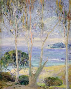 A Clear Day, California Coast, c.1918 (óleo sobre lienzo) de Jennie Vennerstrom Cannon