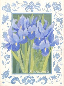 Iris azul (acrílico) de Jennifer Abbott