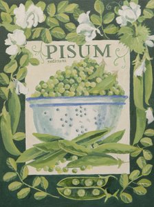 Pisum, Guisantes (acrílico) de Jennifer Abbott