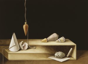 Ilusión óptica, 2005 de Jenny Barron