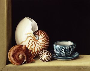 Naturaleza muerta con Nautilus, 1998 de Jenny Barron