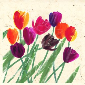 BELLEZAS DE HOLANDA de Jenny Frean