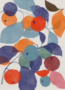 Manzanas Impresas de Jenny Frean