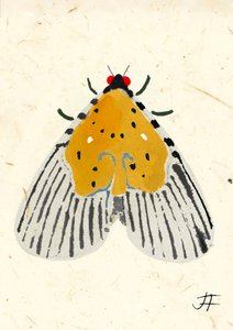 Polilla amarilla, 2024 (acuarela sobre papel) de Jenny Frean