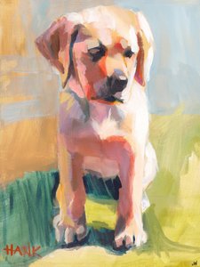 Hank de Jenny Westenhofer