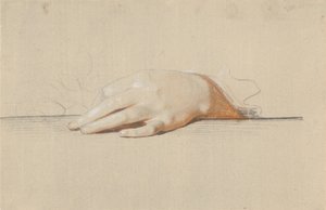 Una mano izquierda descansando sobre una mesa, sosteniendo una rosa de Jens Juel