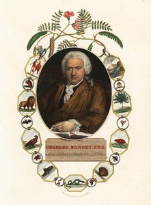 Retrato de Charles Bonnet, naturalista ginebrino.1803 (grabado) de Jens Juel