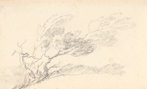 Estudio de árbol en el viento de Jens Juel