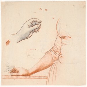 Estudio para el retrato de cuerpo entero de la Princesa Heredera Sofía Federica