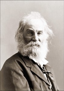 Retrato de Walt Whitman (1819 - 1892) por Gurney entre 1880 y 1890