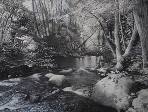 Riverscapes, 2024 (óleo sobre lienzo) de Jerome Glomaud