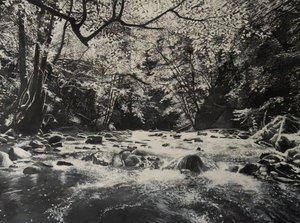 Riverscapes, 2024 (óleo sobre lienzo) de Jerome Glomaud