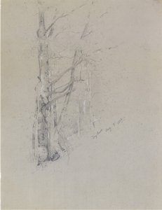 Arroyo seco, 1888