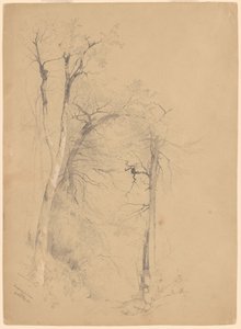Kauterskill Clove de Jervis McEntee