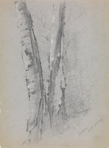 Estudio de troncos de abedul, 1869 de Jervis McEntee