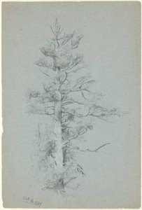 estudio de árboles