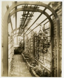 Jardín trasero de la Sra. Regina Jais, c.1936-37