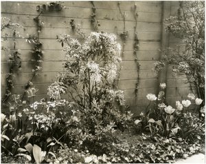 Sr. y Sra. John Morgan, 39 W 11 St, planta Andrómeda, Greenwich Village, Nueva York, EE.UU., c.1939-40 de Jessie Tarbox Beals
