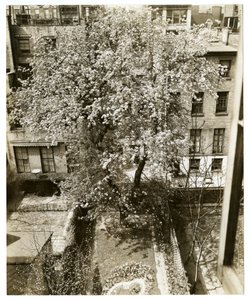 Sra. W H Wells 265 W 11th